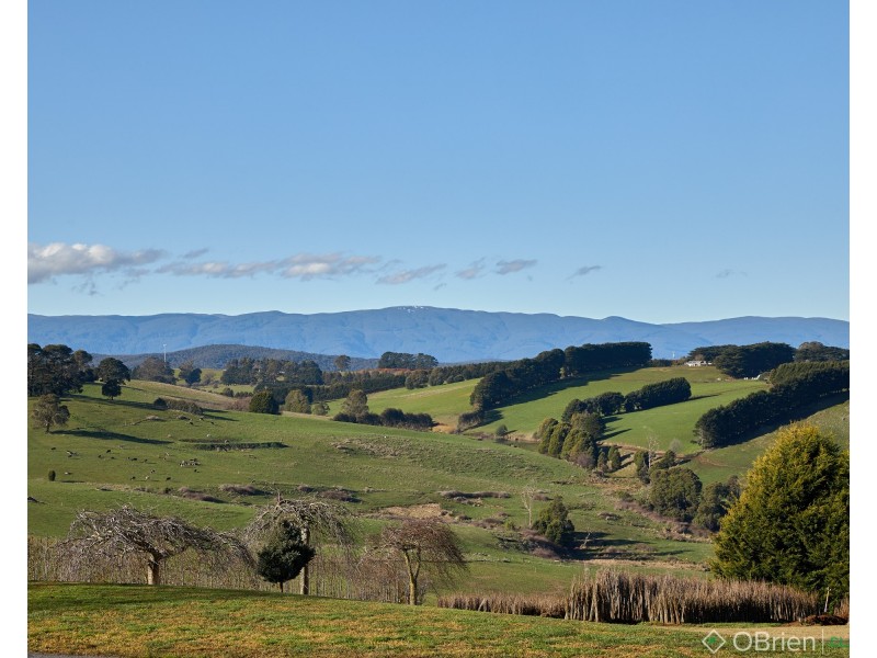 40 Bransgrove Road, Neerim Junction VIC 3832