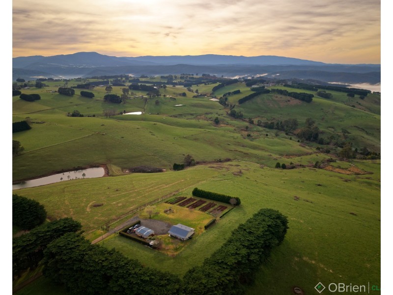 40 Bransgrove Road, Neerim Junction VIC 3832