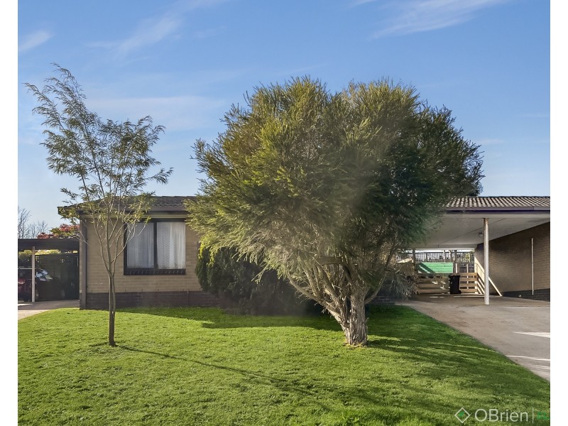 5/43 Buln Buln Road, Drouin VIC 3818