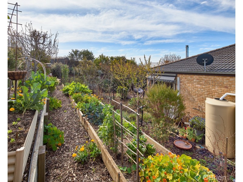 15 Aaron Court, Drouin VIC 3818