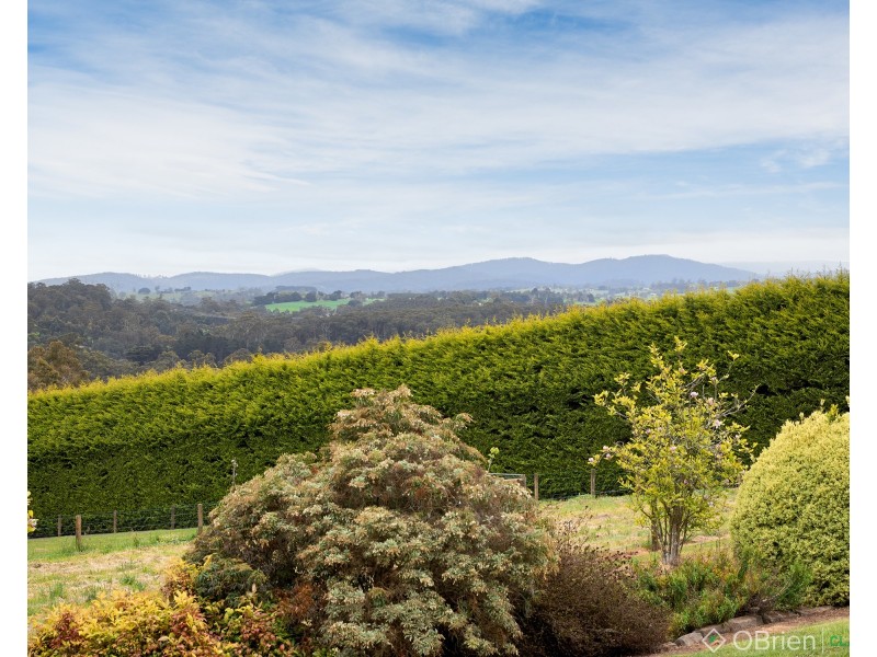 960 Brandy Creek Road, Rokeby VIC 3821