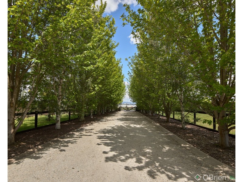 395 Lillico Road, Lillico VIC 3820