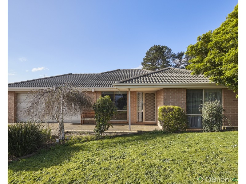 19 Davey Drive, Drouin VIC 3818