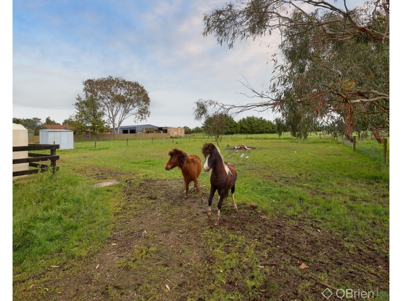 11 Newell Road, Longwarry VIC 3816