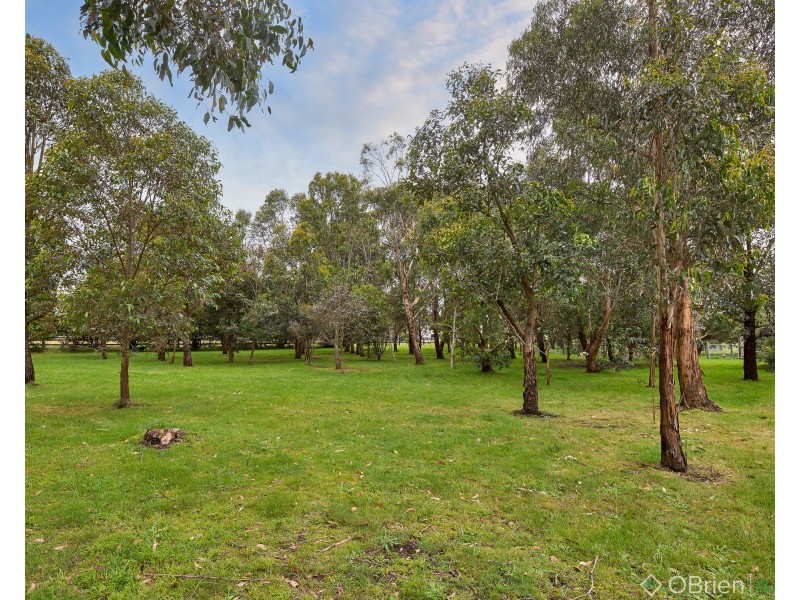 11 Newell Road, Longwarry VIC 3816
