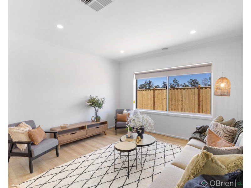 3 Ruffels Street, Drouin VIC 3818