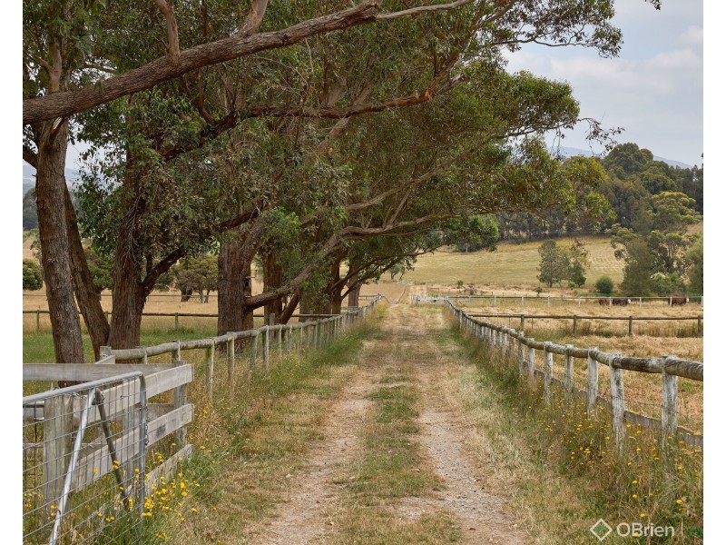 81 Alcorn Road, Labertouche VIC 3816