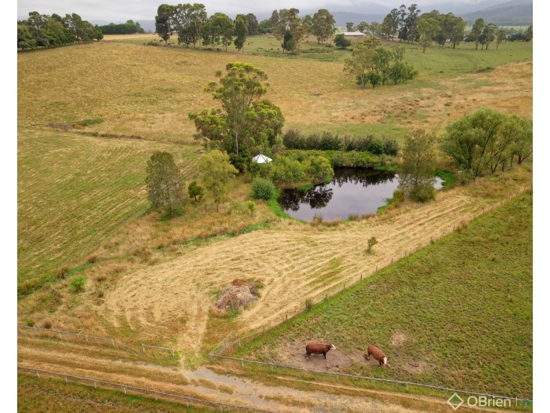 81 Alcorn Road, Labertouche VIC 3816