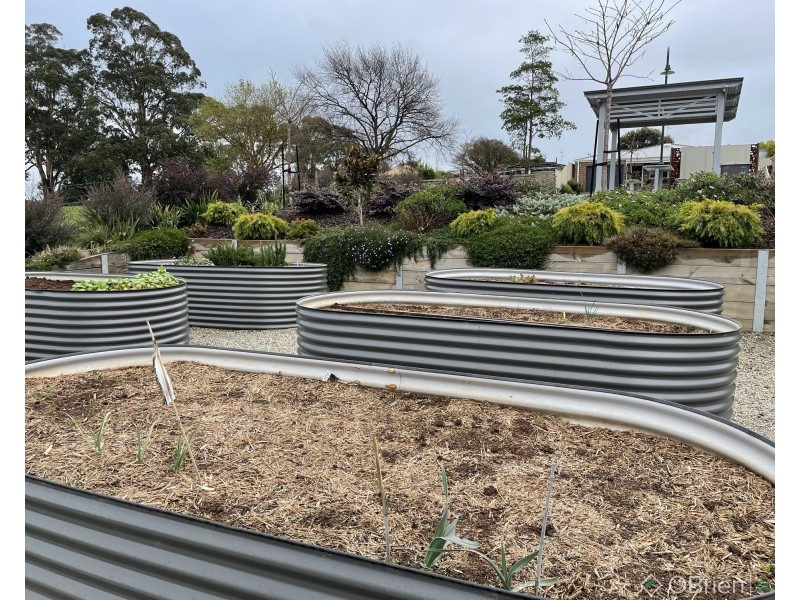 16 Von Mueller Drive, Neerim South VIC 3831