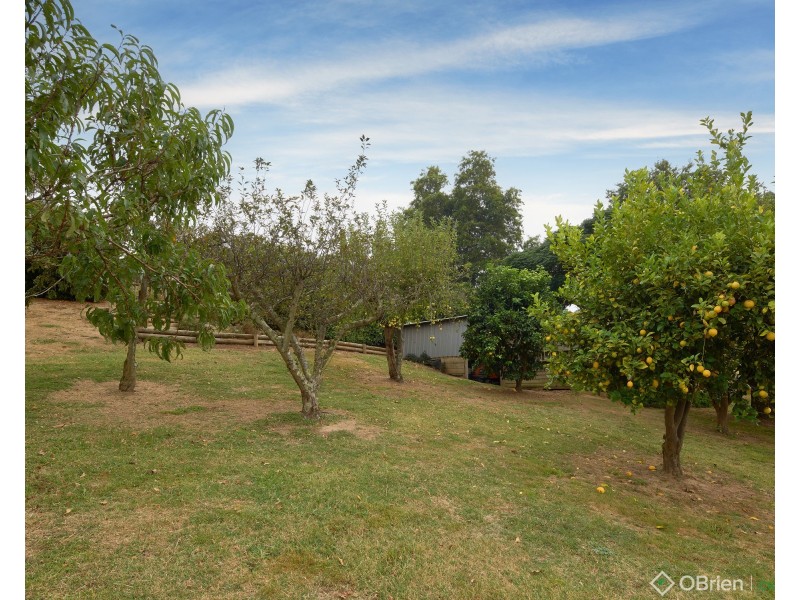 12 Lillico Road, Warragul VIC 3820