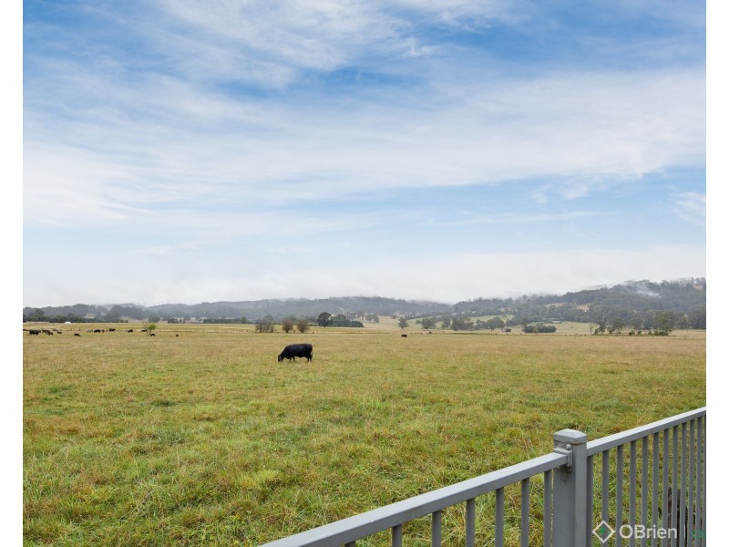 42 Collingwood Drive, Trafalgar VIC 3824