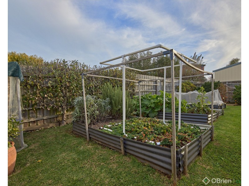 48 Walker Drive, Drouin VIC 3818