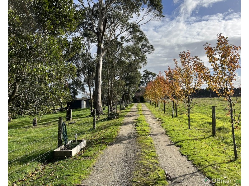 115 Fisher Road, Drouin West VIC 3818
