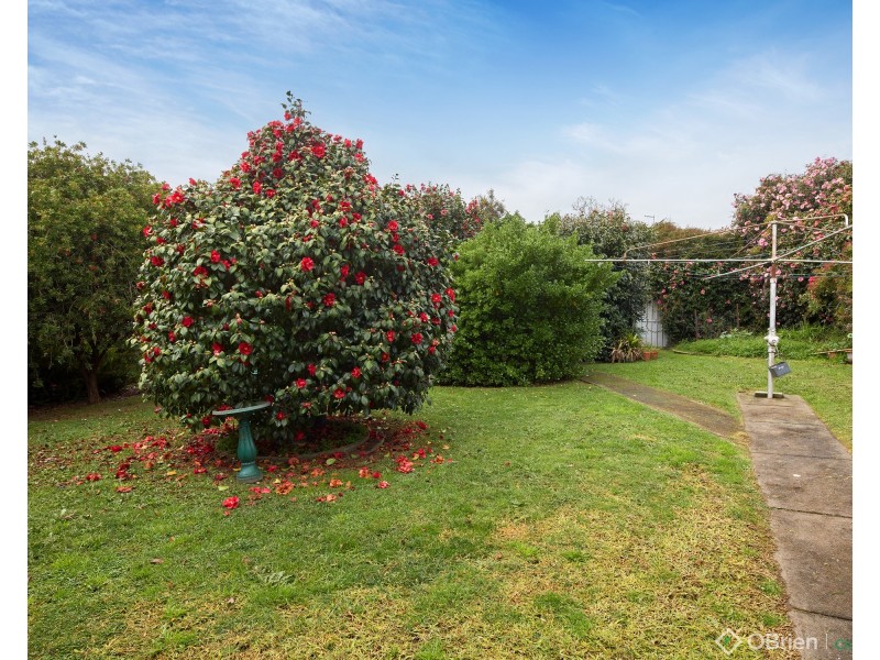 12 Charles Street, Drouin VIC 3818