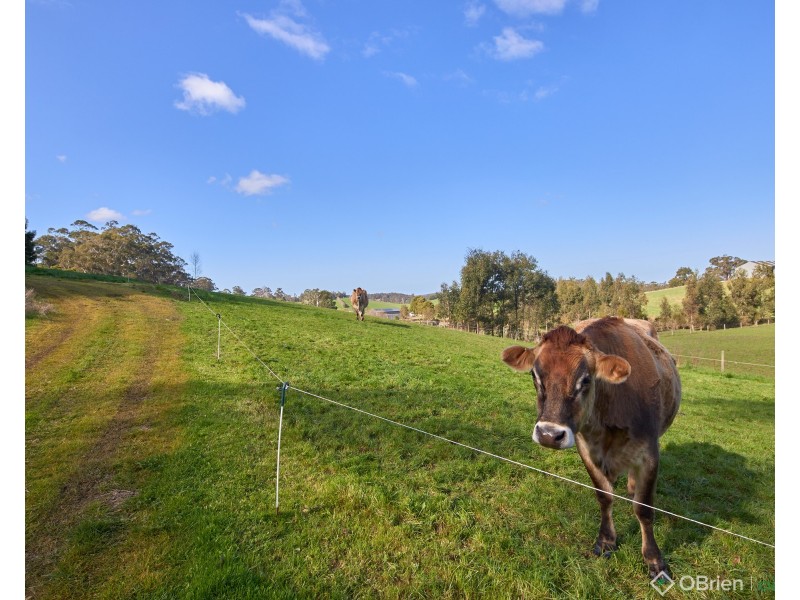 60 McDougal Road, Neerim South VIC 3831