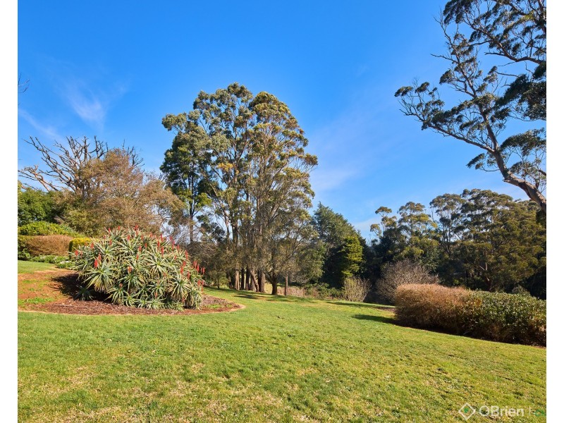 44 Ryans Road, Trafalgar South VIC 3824
