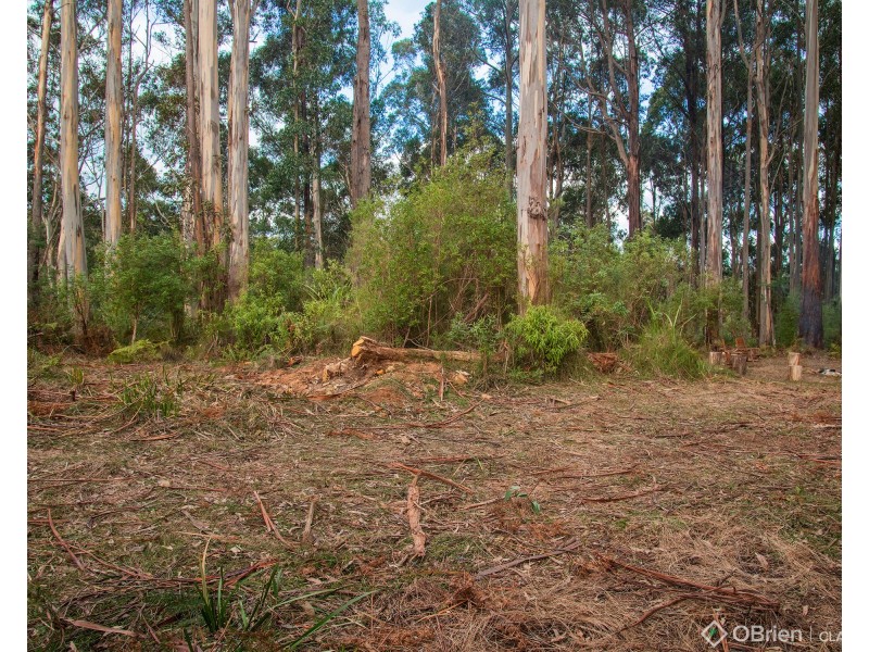 1 Mount Baw Baw Tourist Road, Icy Creek VIC 3833