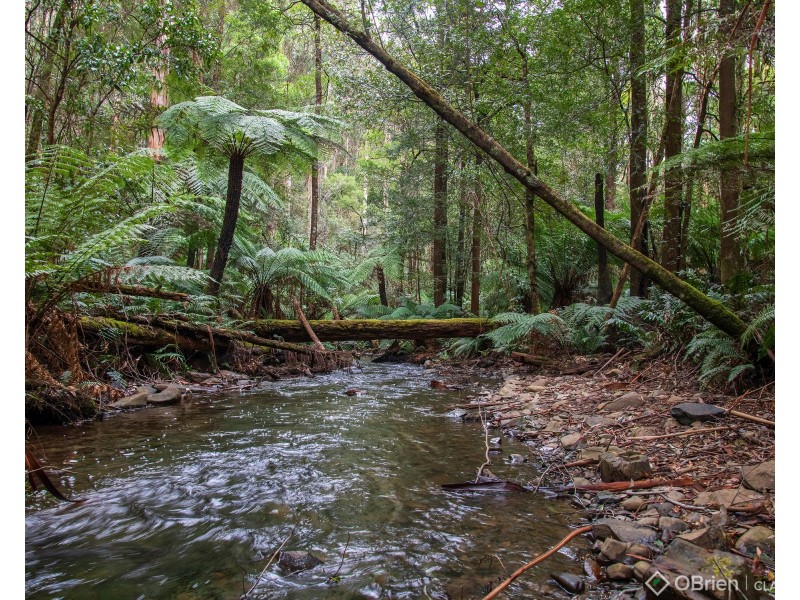 1 Mount Baw Baw Tourist Road, Icy Creek VIC 3833