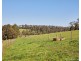 535 Old Telegraph Road, Jindivick VIC 3818