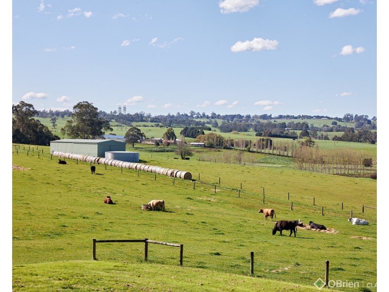 535 Old Telegraph Road, Jindivick VIC 3818