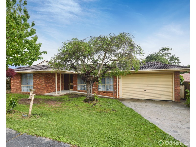 13 Neerim Street, Drouin VIC 3818