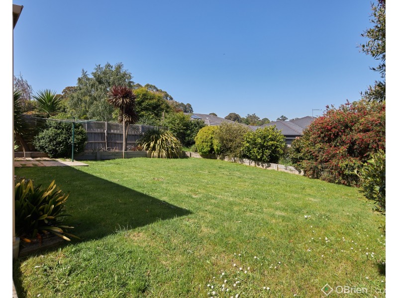 11 Hatfield Drive, Drouin VIC 3818