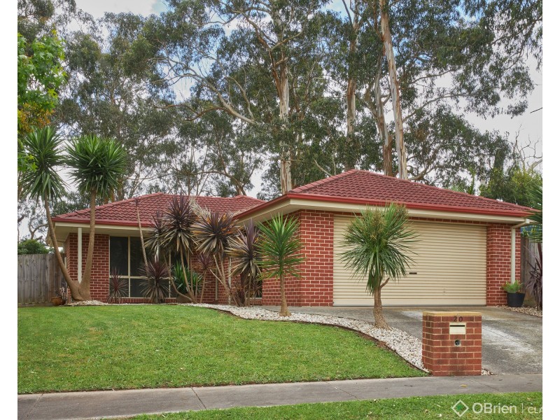 20 Miller Close, Drouin VIC 3818