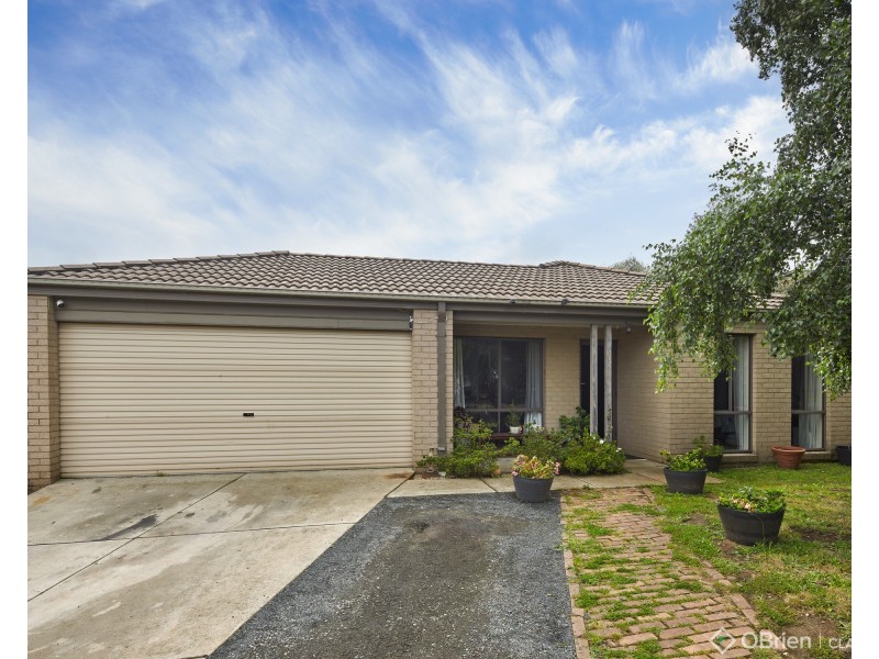 16 Rimfire Avenue, Drouin VIC 3818
