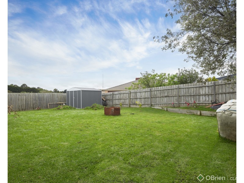 16 Rimfire Avenue, Drouin VIC 3818