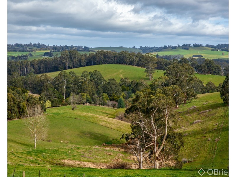 237 Main Neerim Road, Neerim South VIC 3831