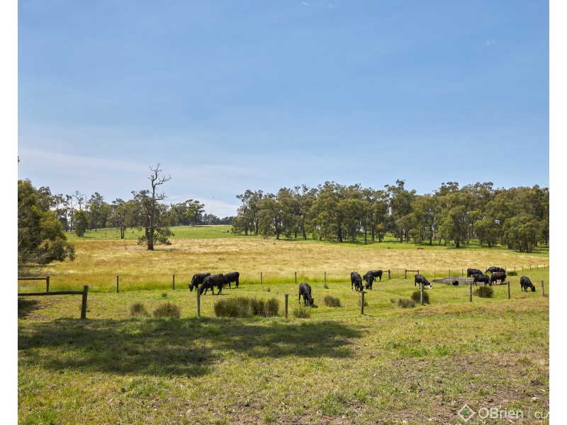 110 Phillips Road, Heath Hill VIC 3981