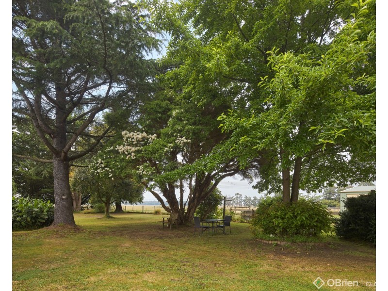 897 Araluen Road, Shady Creek VIC 3821