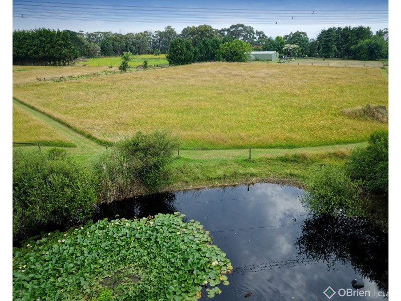 897 Araluen Road, Shady Creek VIC 3821