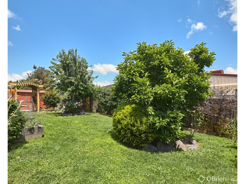 15 Spencer Court, Yarragon VIC 3823