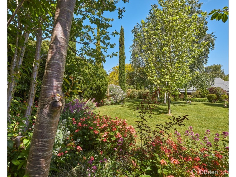 9 Pepperell Drive, Drouin VIC 3818