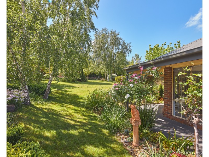 9 Pepperell Drive, Drouin VIC 3818