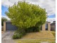13 Harmon Drive, Drouin VIC 3818