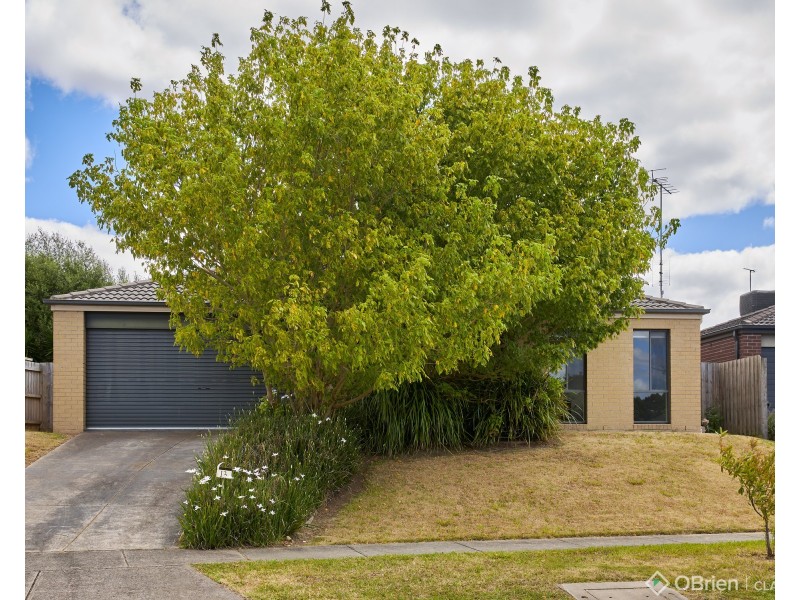 13 Harmon Drive, Drouin VIC 3818