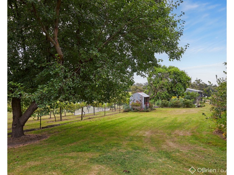241 Higgs Road, Drouin VIC 3818
