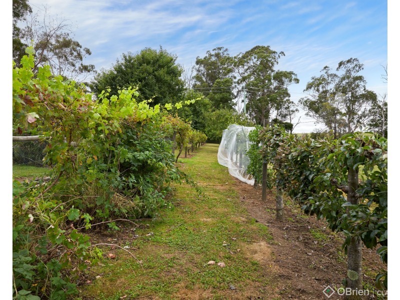 241 Higgs Road, Drouin VIC 3818