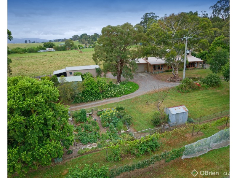 241 Higgs Road, Drouin VIC 3818