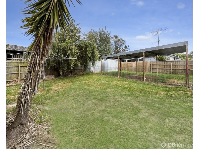 19 Chapmans Road, Trafalgar VIC 3824