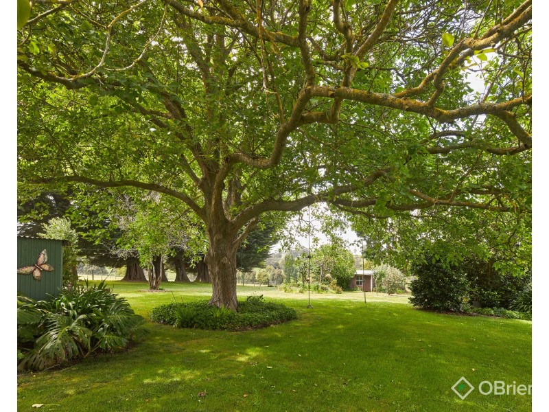 54 Anderson Road, Jindivick VIC 3818