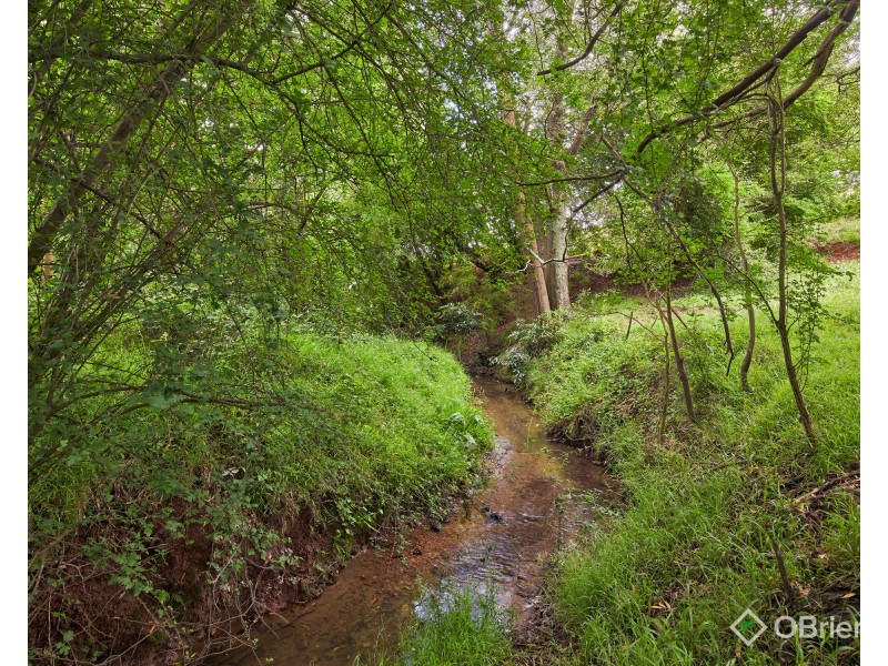 54 Anderson Road, Jindivick VIC 3818