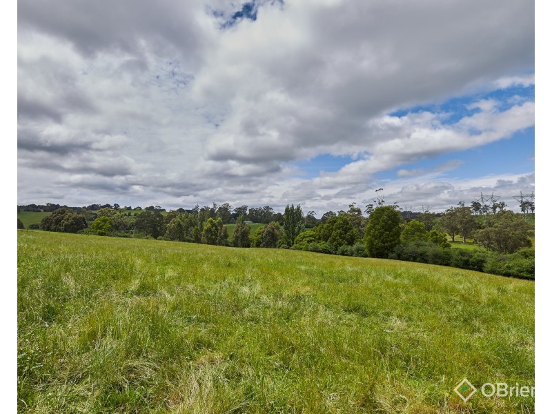 54 Anderson Road, Jindivick VIC 3818