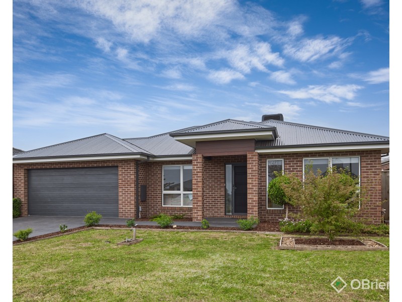 31 Lyndhurst Square, Drouin VIC 3818