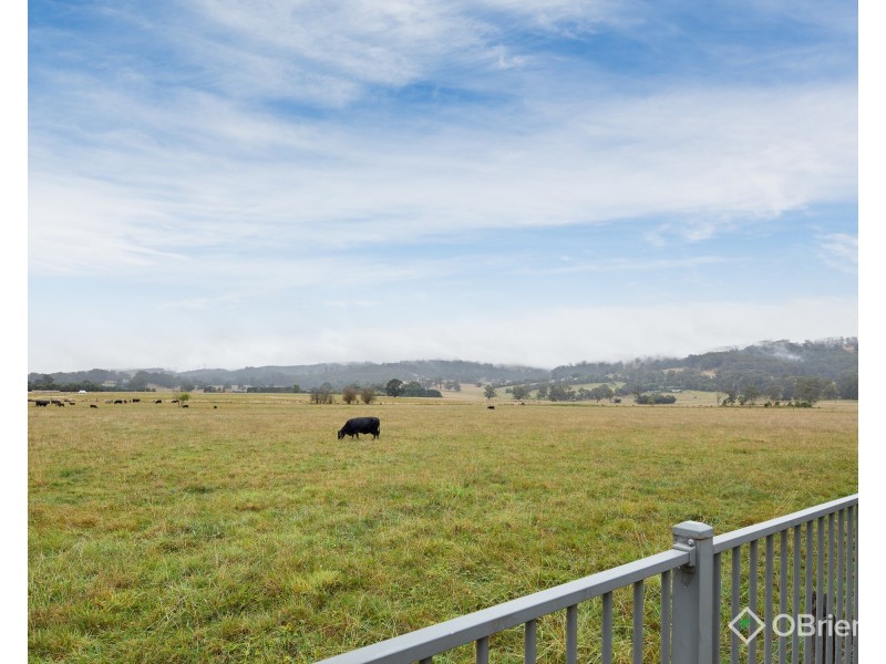 42 Collingwood Drive, Trafalgar VIC 3824