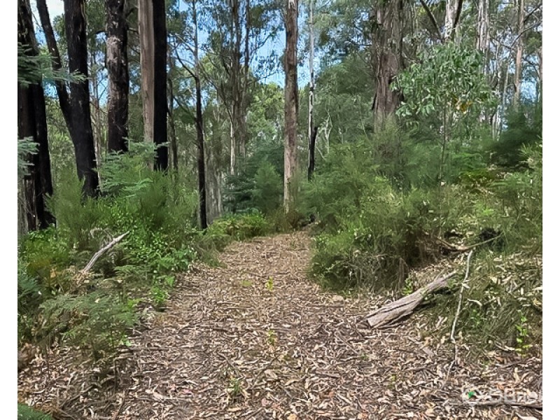 CA 10, Section 4, Old Coach Road, Walhalla VIC 3825
