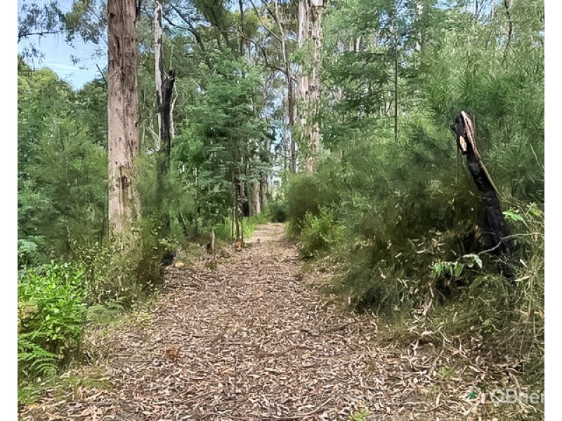 CA 10, Section 4, Old Coach Road, Walhalla VIC 3825
