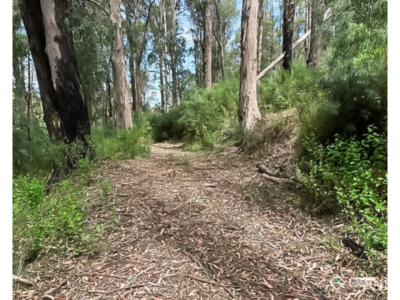CA 10, Section 4, Old Coach Road, Walhalla VIC 3825